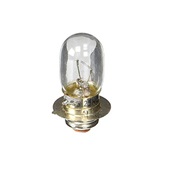 Bulb Replacement (2005-2024)