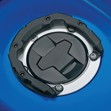 Ring Mount (2027) picture
