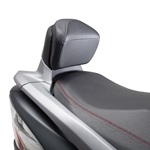 Passenger Backrest, Gray (2013-2016)