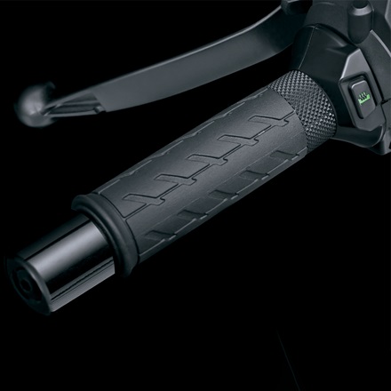 Heated Grip Set (2020) picture