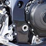 Carbon Frame Guards (2011-2025)